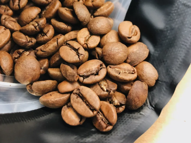 The Intersection of Premium Quality and Planetary Responsibility