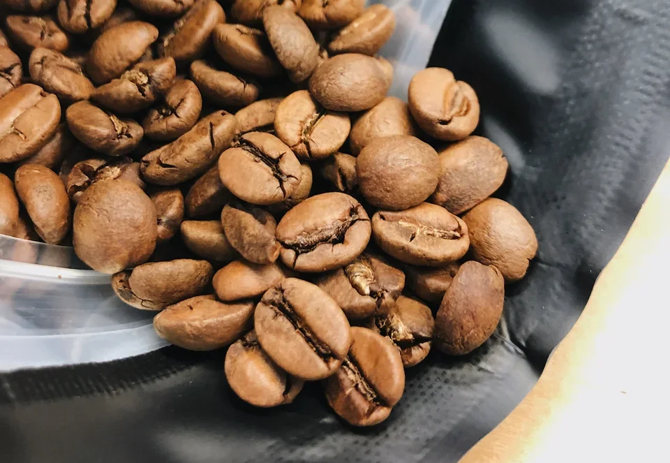 The Intersection of Premium Quality and Planetary Responsibility image6